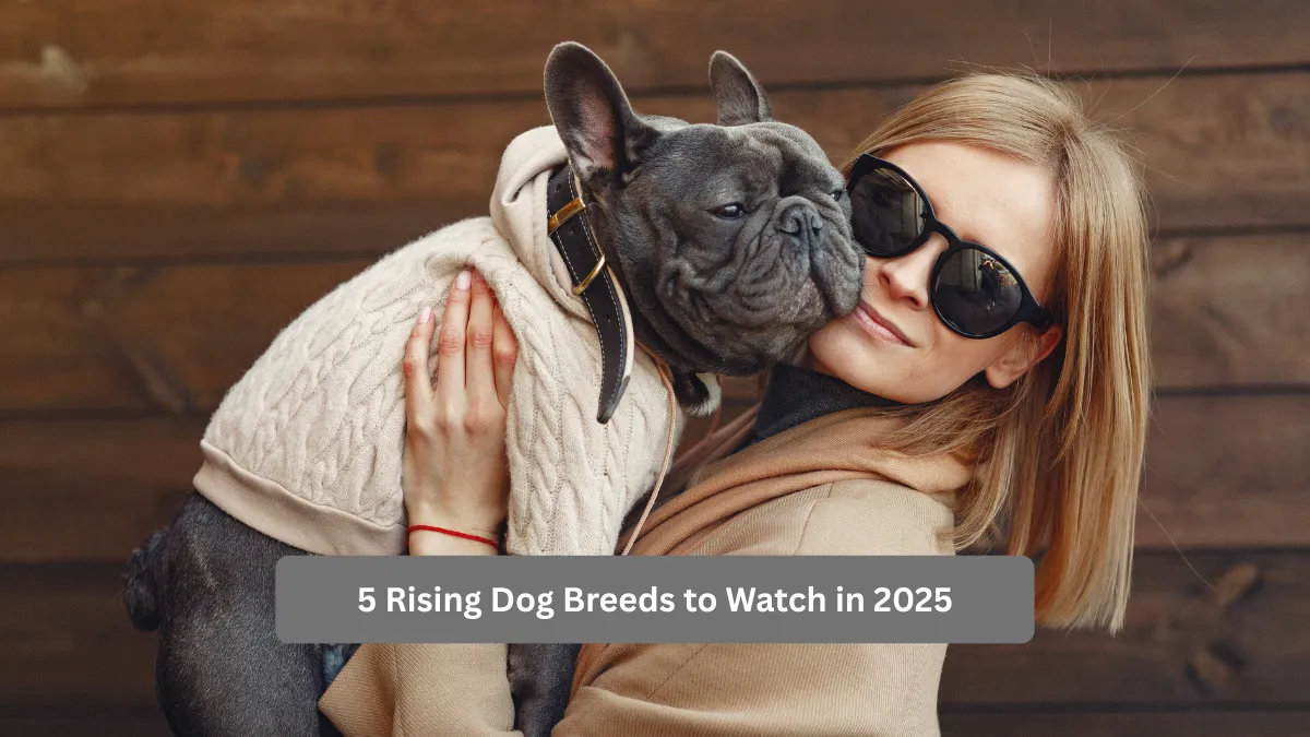 5 Rising Dog Breeds to Watch in 2025